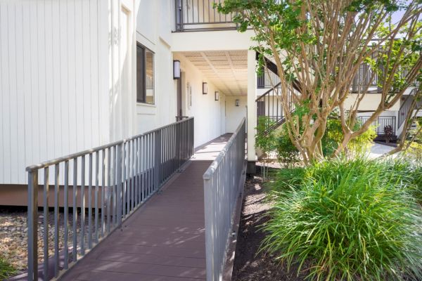 Accessible ramp leading to a building with railings, foliage on the side.
