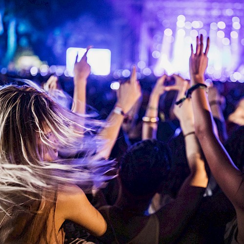 People dancing and enjoying a concert at night, with blurred stage lights in the background, creating a lively and energetic atmosphere.