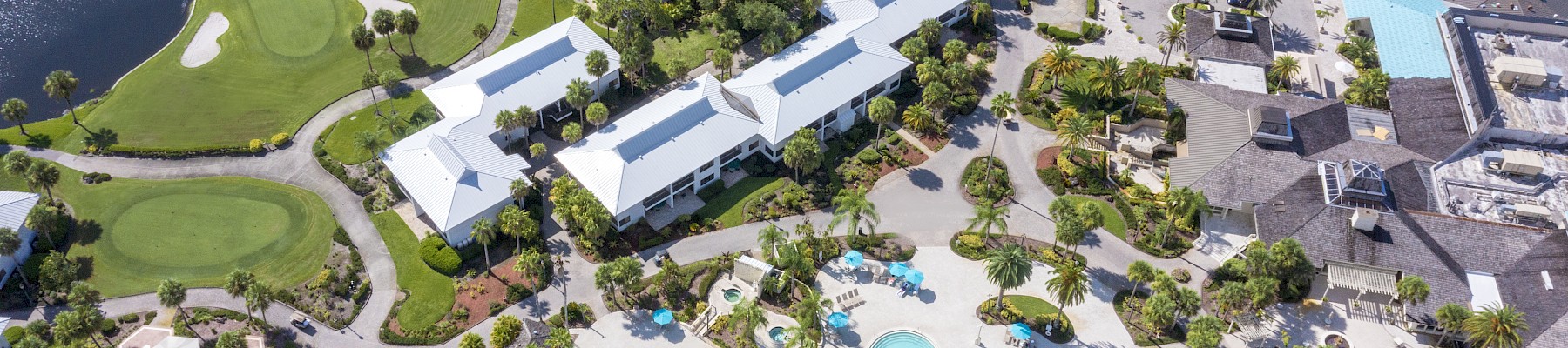 Saddlebrook Resort